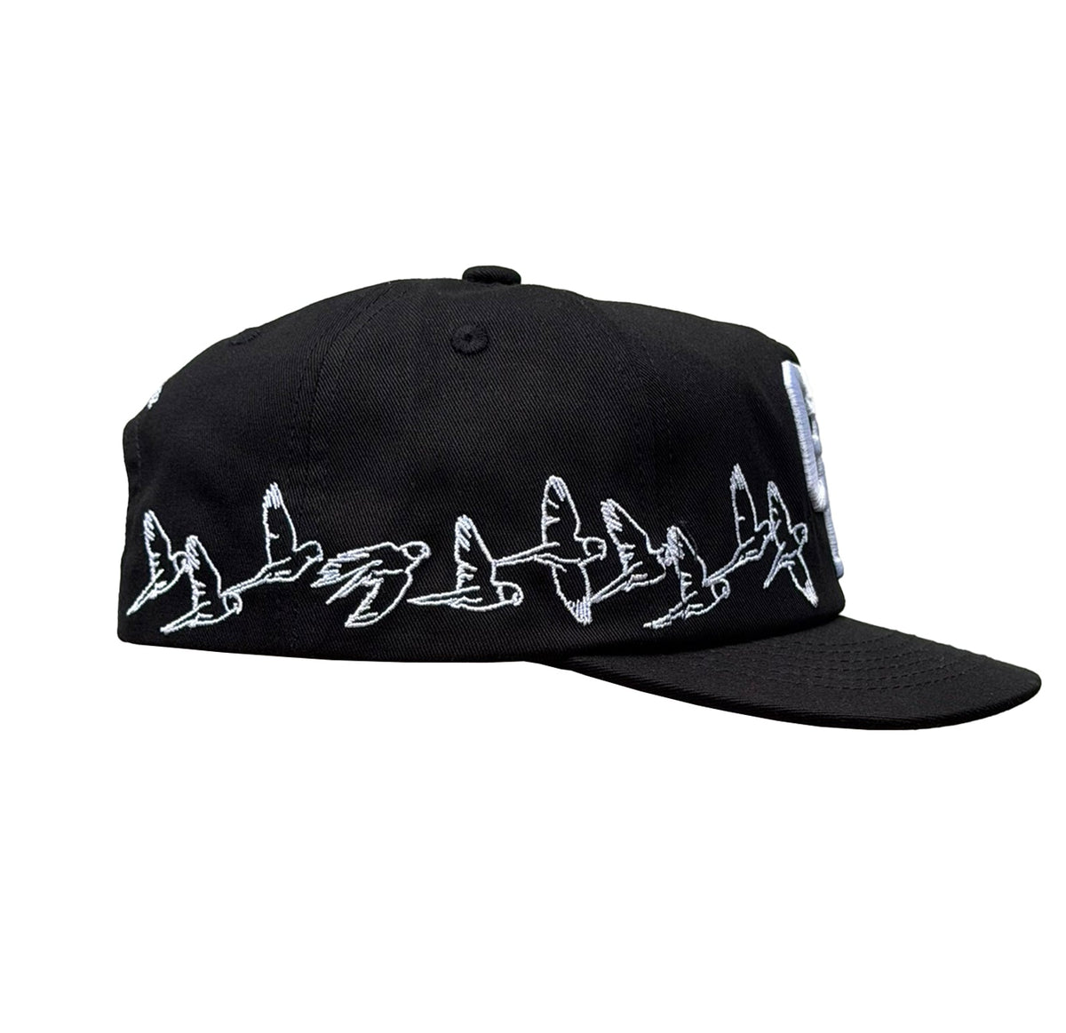 Pitch Black Birdie Cap